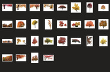 Load image into Gallery viewer, 1200+ Wonderful Autumn Overlays Bundle