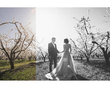 Load image into Gallery viewer, Black & White Lightroom Presets