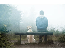 Load image into Gallery viewer, Fog Overlays