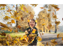 Load image into Gallery viewer, Leaves Overlays