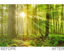 Load image into Gallery viewer, Light Rays Overlays