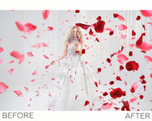 Load image into Gallery viewer, Petals Overlays