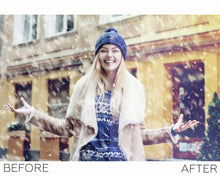 Load image into Gallery viewer, Snow Overlays