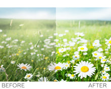 Load image into Gallery viewer, Nature lightroom presets
