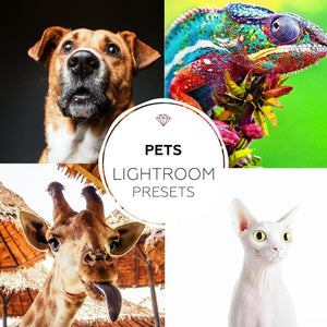 Pets Lightroom presets collection